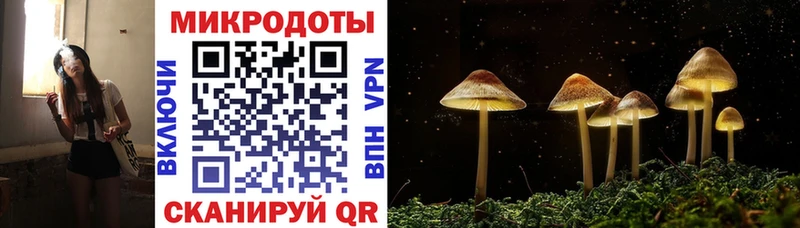 Купить Красный Кут Галлюциногенные грибы Psilocybine cubensis